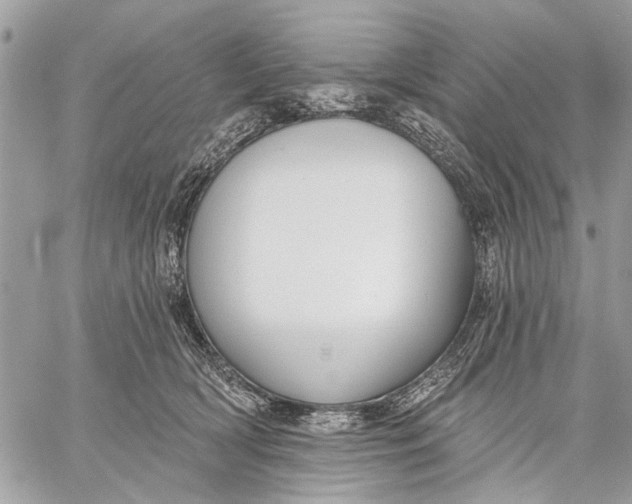 X0000059060418200510281637