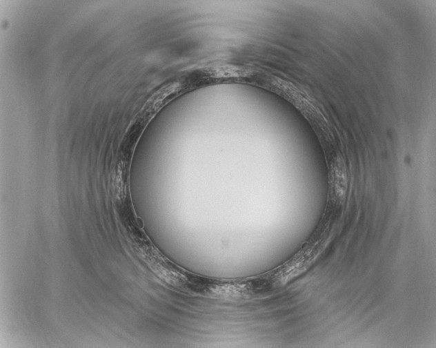 X0000059060422200510281637