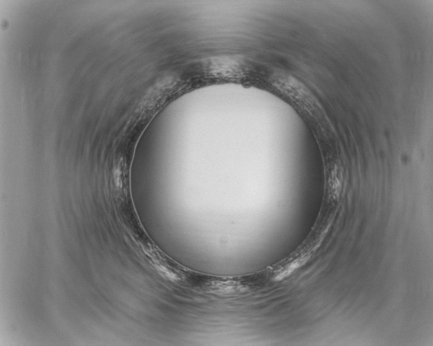 X0000059060424200510281637