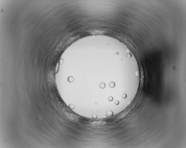 X0000059060426200510281637