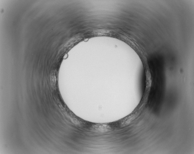 X0000059060427200510281637