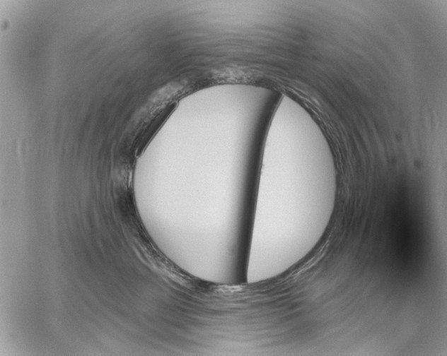 X0000059060429200510281637