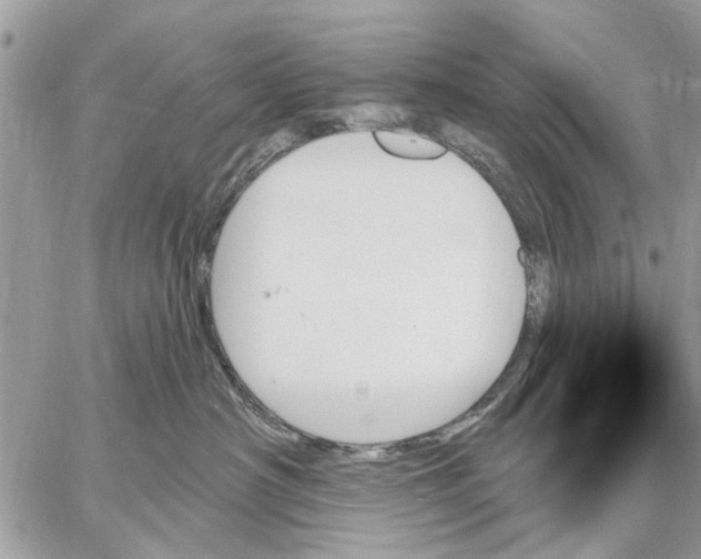 X0000059060430200510281637