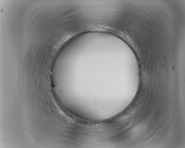 X0000059060433200510281636