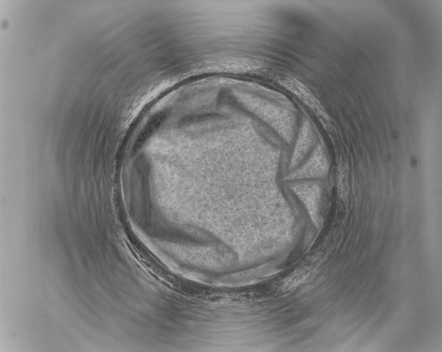 X0000059060434200510281636