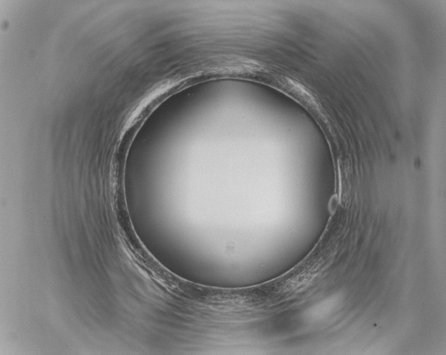 X0000059060435200510281636