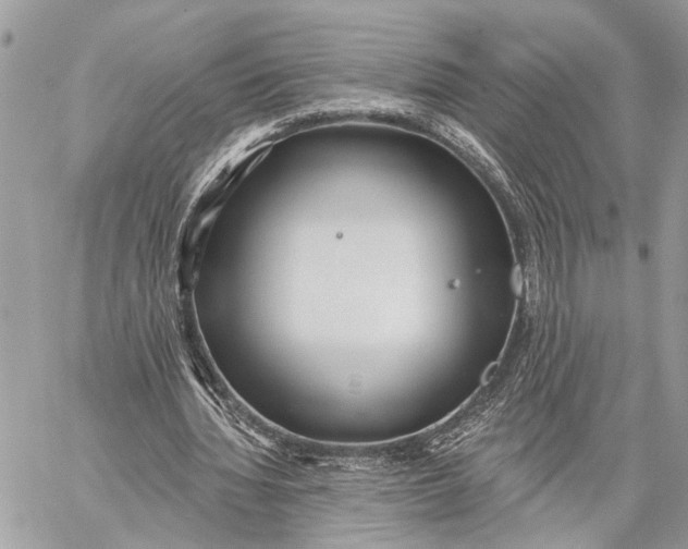 X0000059060436200510281636