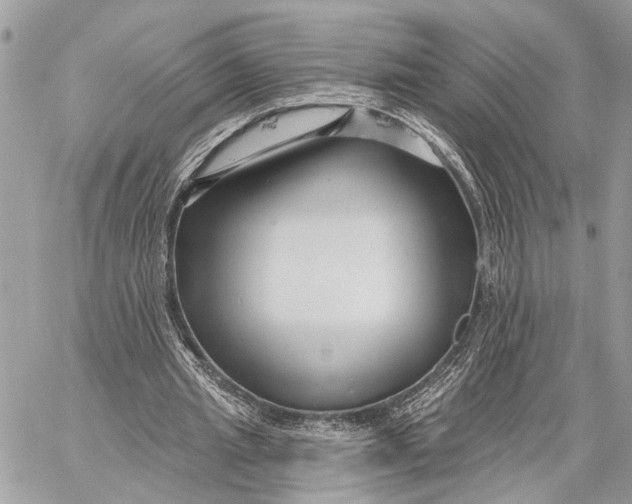 X0000059060437200510281636