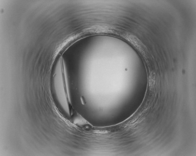 X0000059060438200510281636