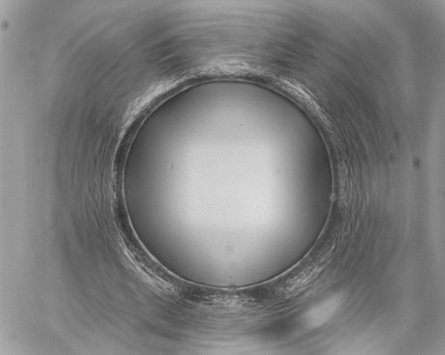 X0000059060439200510281636