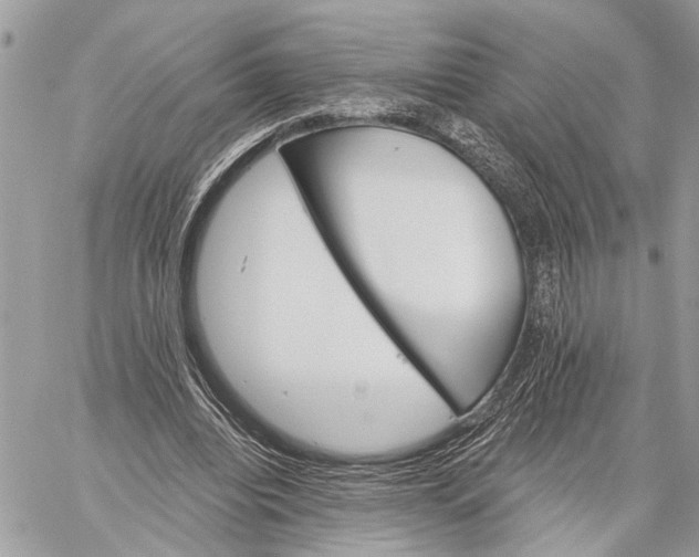 X0000059060440200510281636