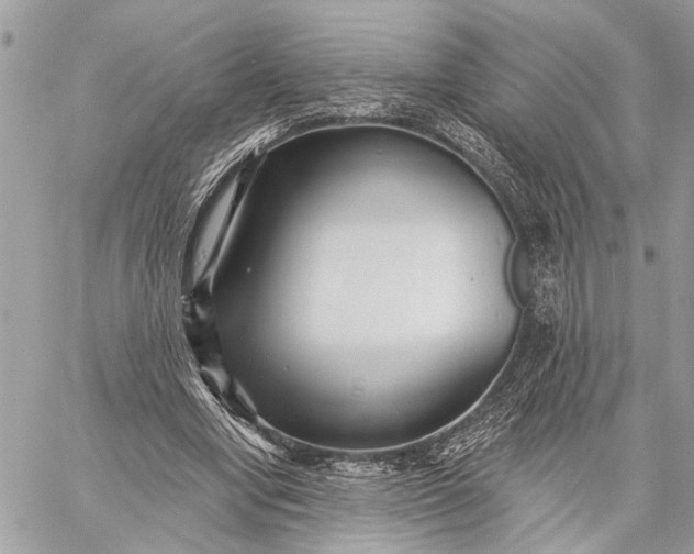 X0000059060442200510281636