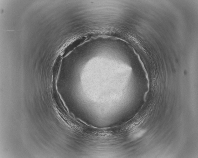 X0000059060443200510281636