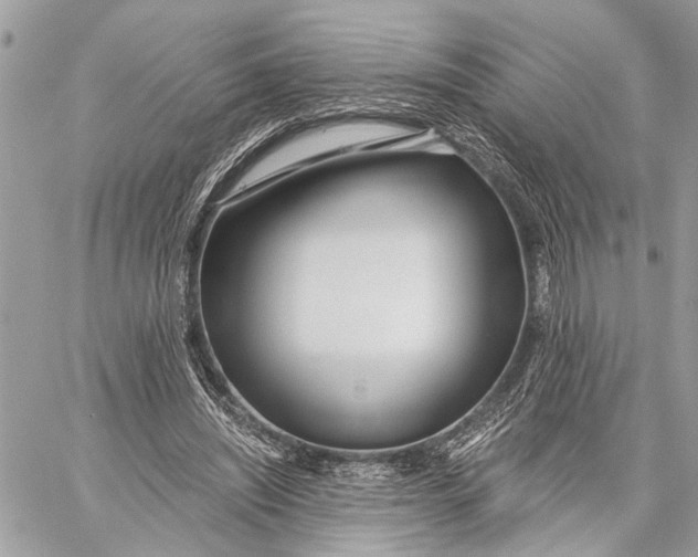 X0000059060444200510281636