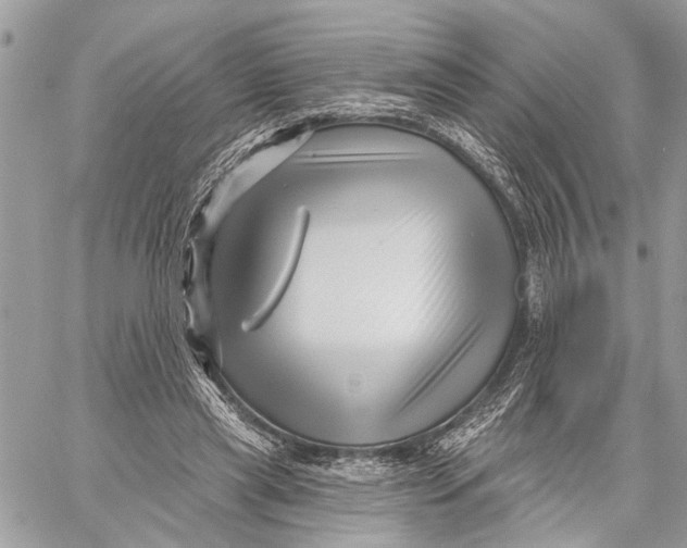 X0000059060445200510281637