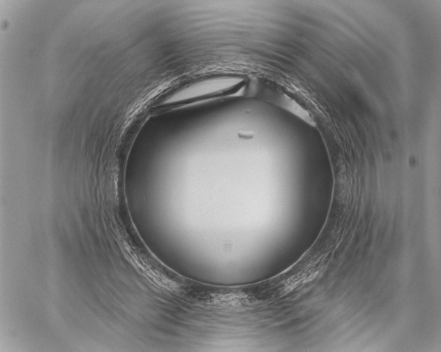 X0000059060446200510281637