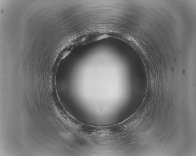 X0000059060447200510281637