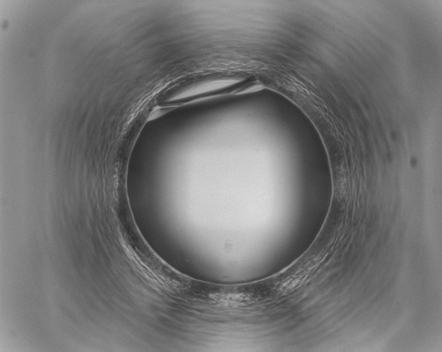 X0000059060448200510281637