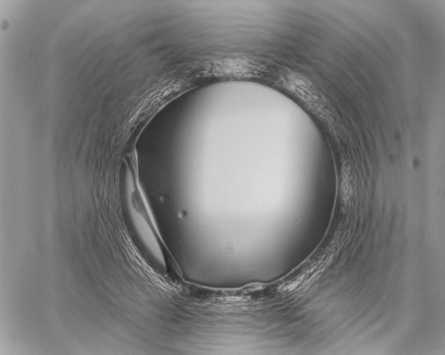 X0000059060449200510281637