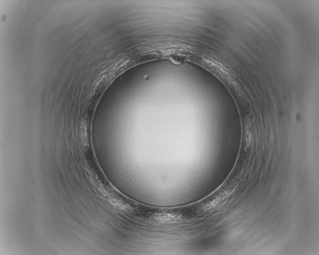 X0000059060453200510281637