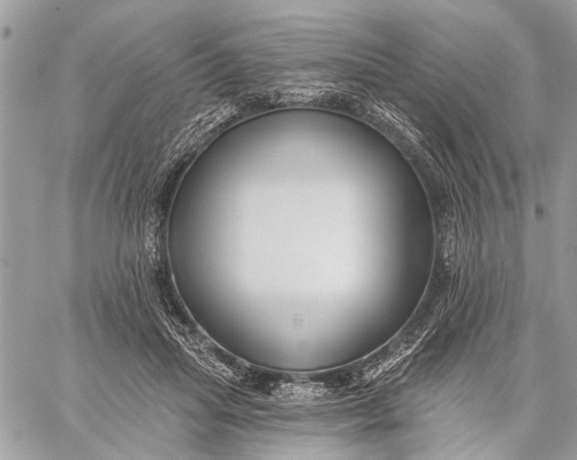 X0000059060455200510281637