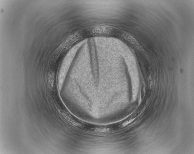 X0000059060458200510281637