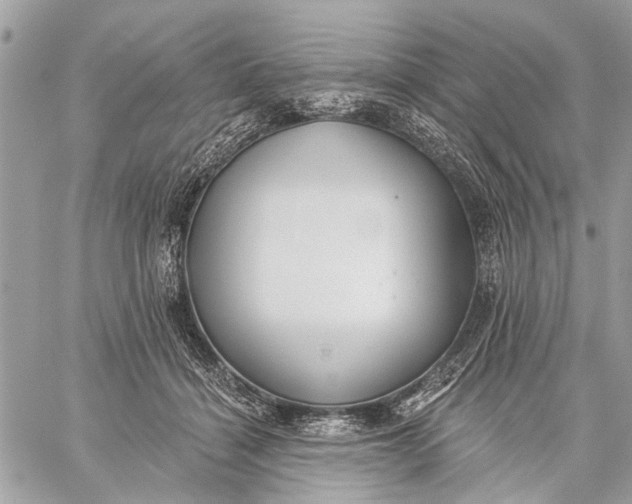 X0000059060460200510281637