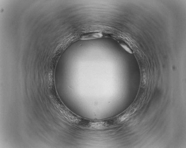 X0000059060461200510281637