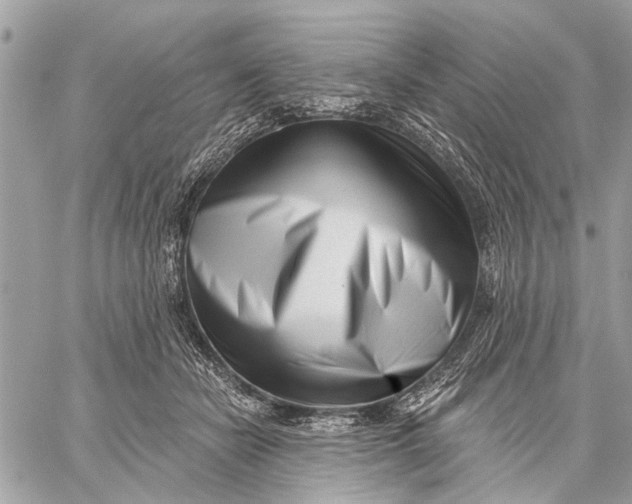 X0000059060462200510281637