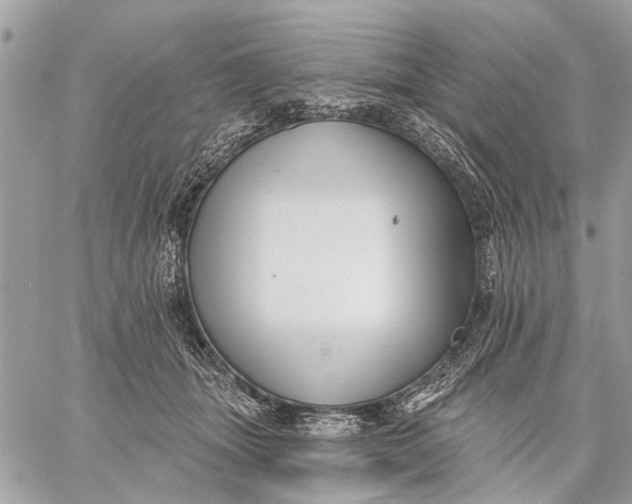 X0000059060463200510281637