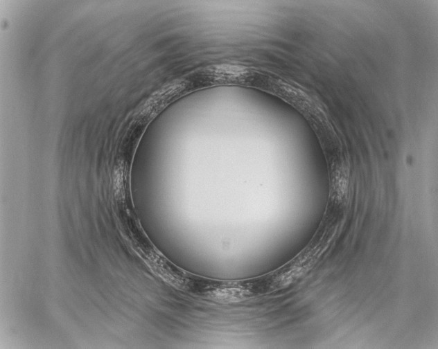 X0000059060468200510281637