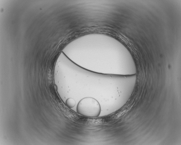 X0000059060469200510281637