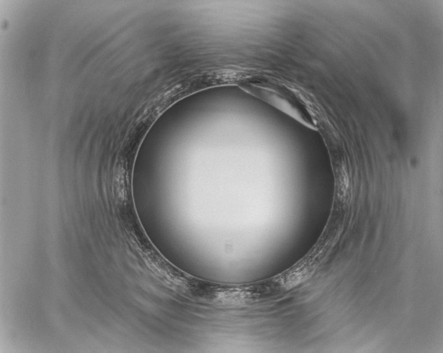 X0000059060470200510281637