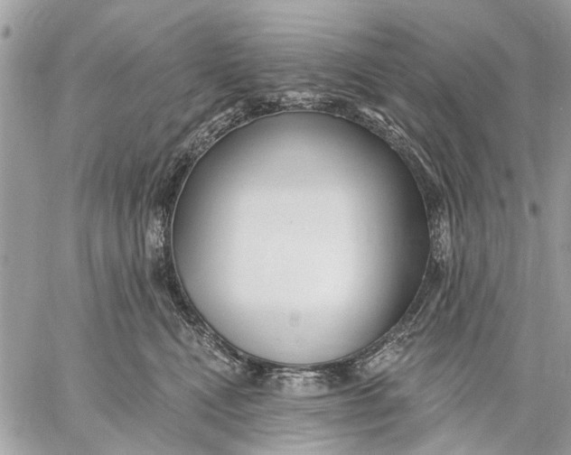 X0000059060472200510281637