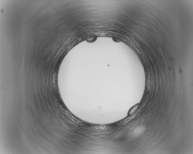 X0000059060473200510281637