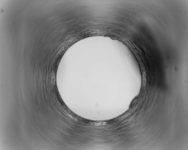 X0000059060474200510281637