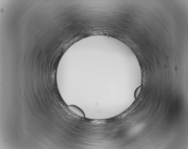 X0000059060477200510281637