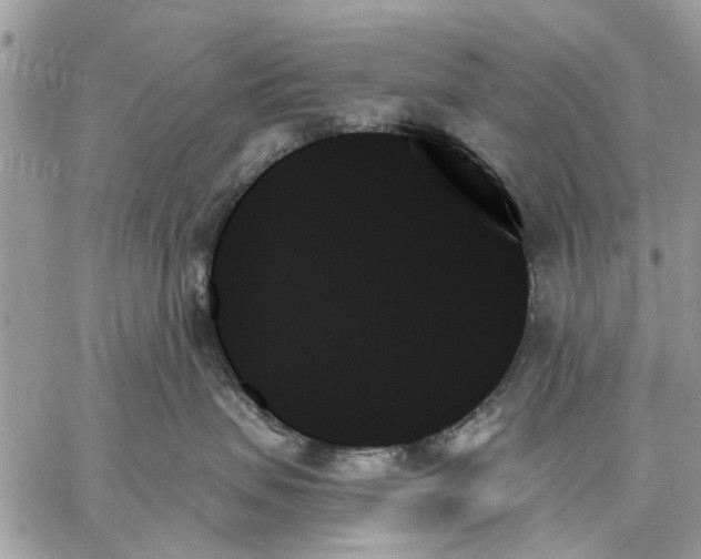 X0000059060479200510281637