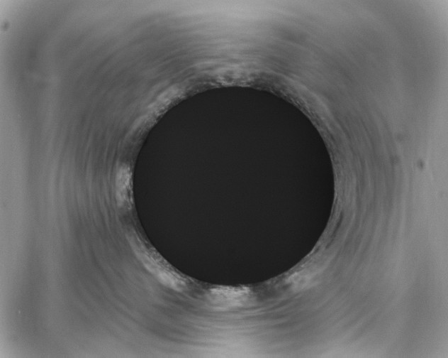 X0000059060480200510281637