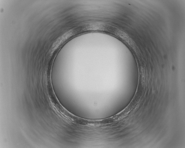 X0000059060482200510281636