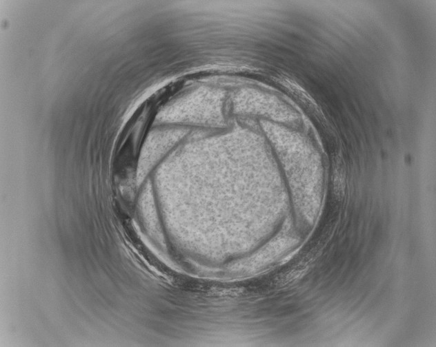 X0000059060484200510281636