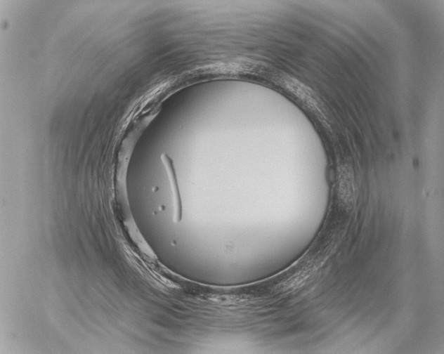 X0000059060486200510281636