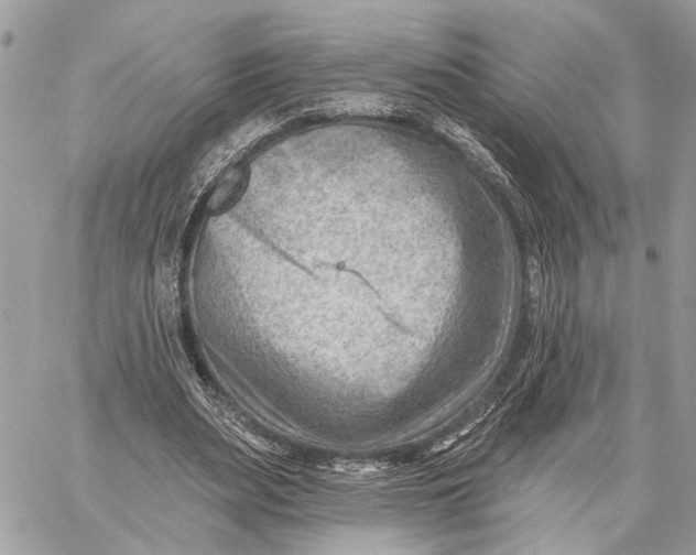 X0000059060487200510281636