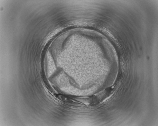 X0000059060488200510281636