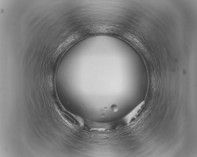 X0000059060489200510281636