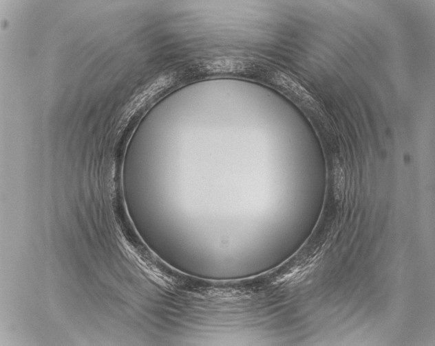 X0000059060490200510281636