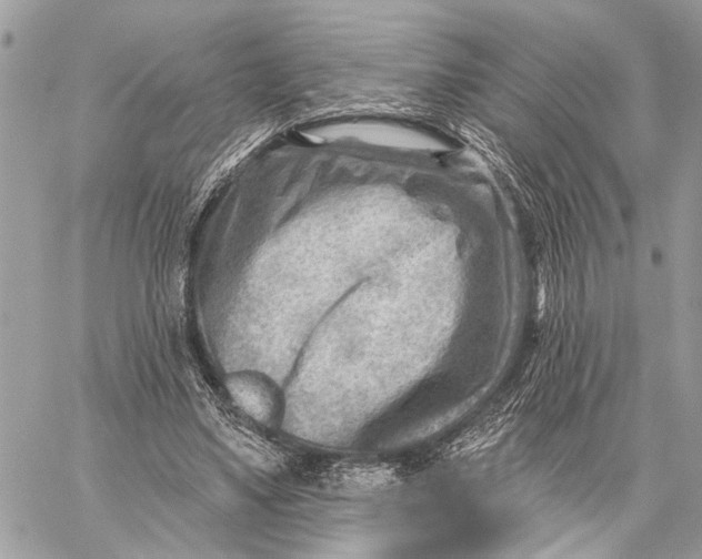 X0000059060491200510281636