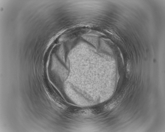 X0000059060492200510281636