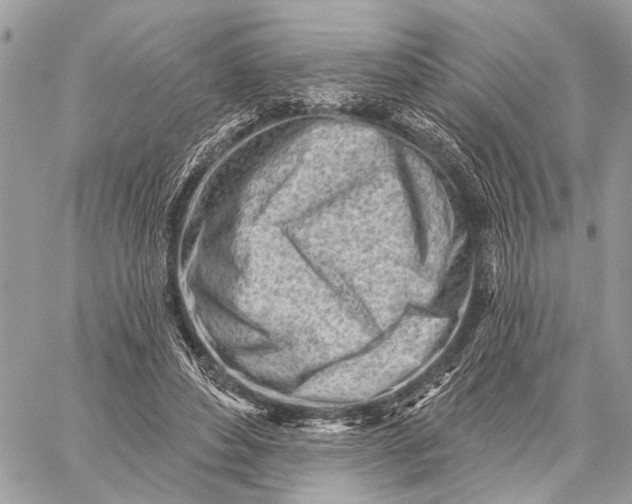 X0000059060496200510281636