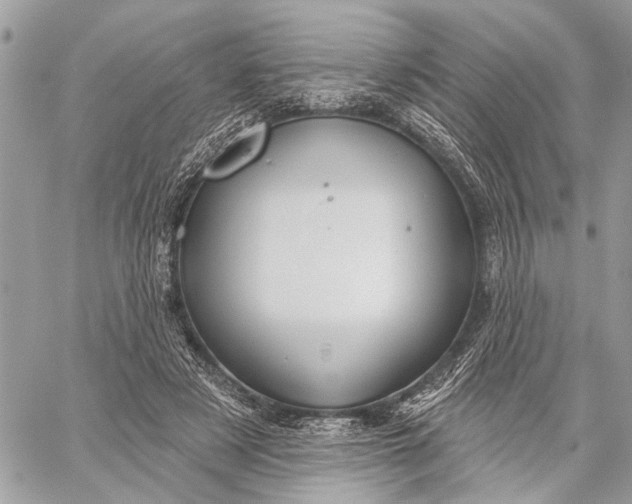 X0000059060497200510281636